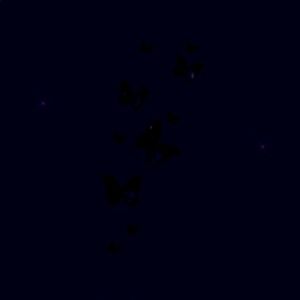 Meet your Posher, Jamillah